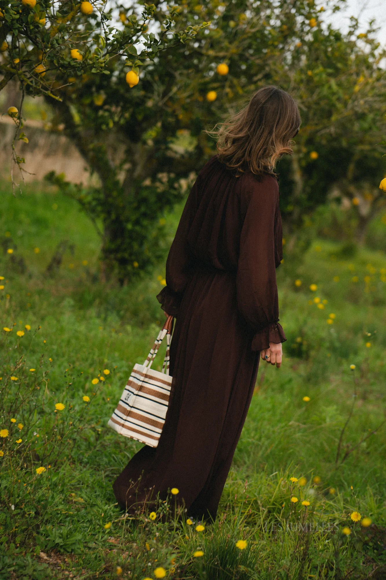 Celine maxi dress hot chocolate - Image 11