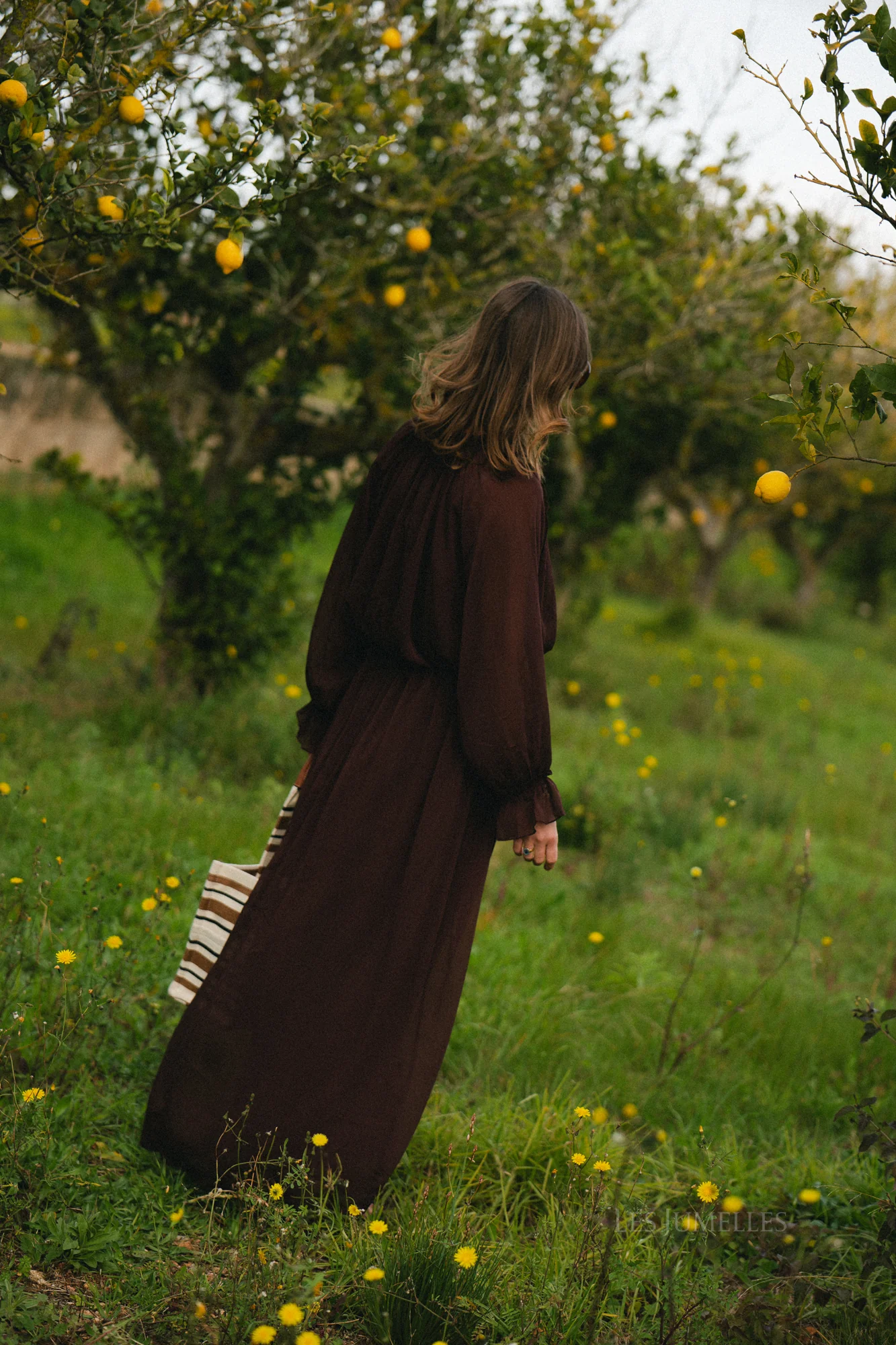 Celine maxi dress hot chocolate - Image 13