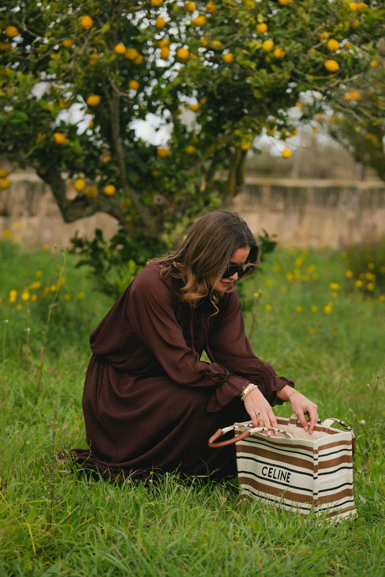 Celine maxi dress hot chocolate - Image 14