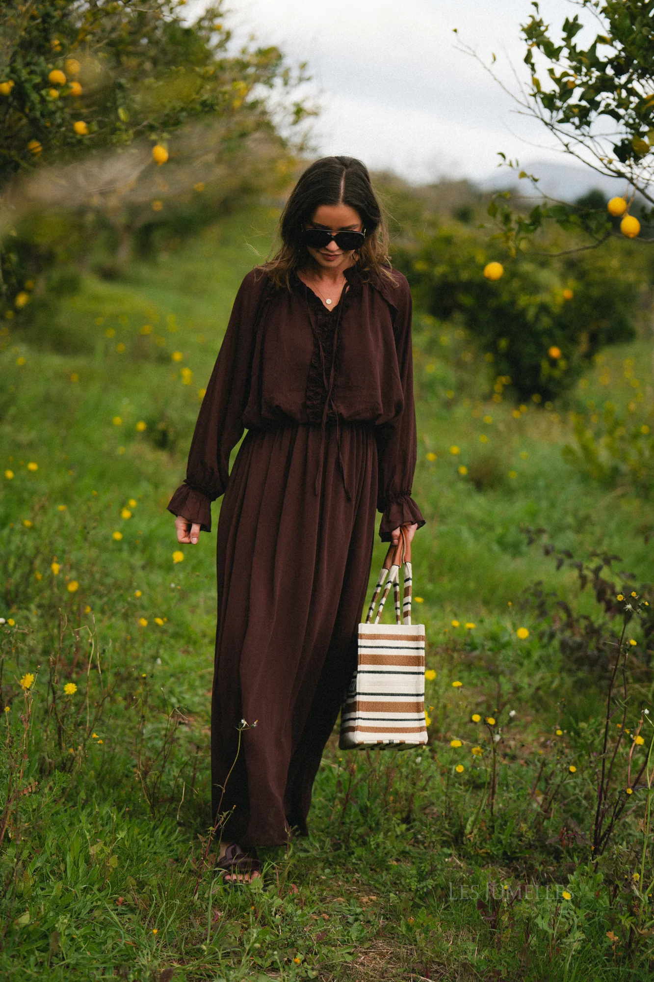 Celine maxi dress hot chocolate - Image 15