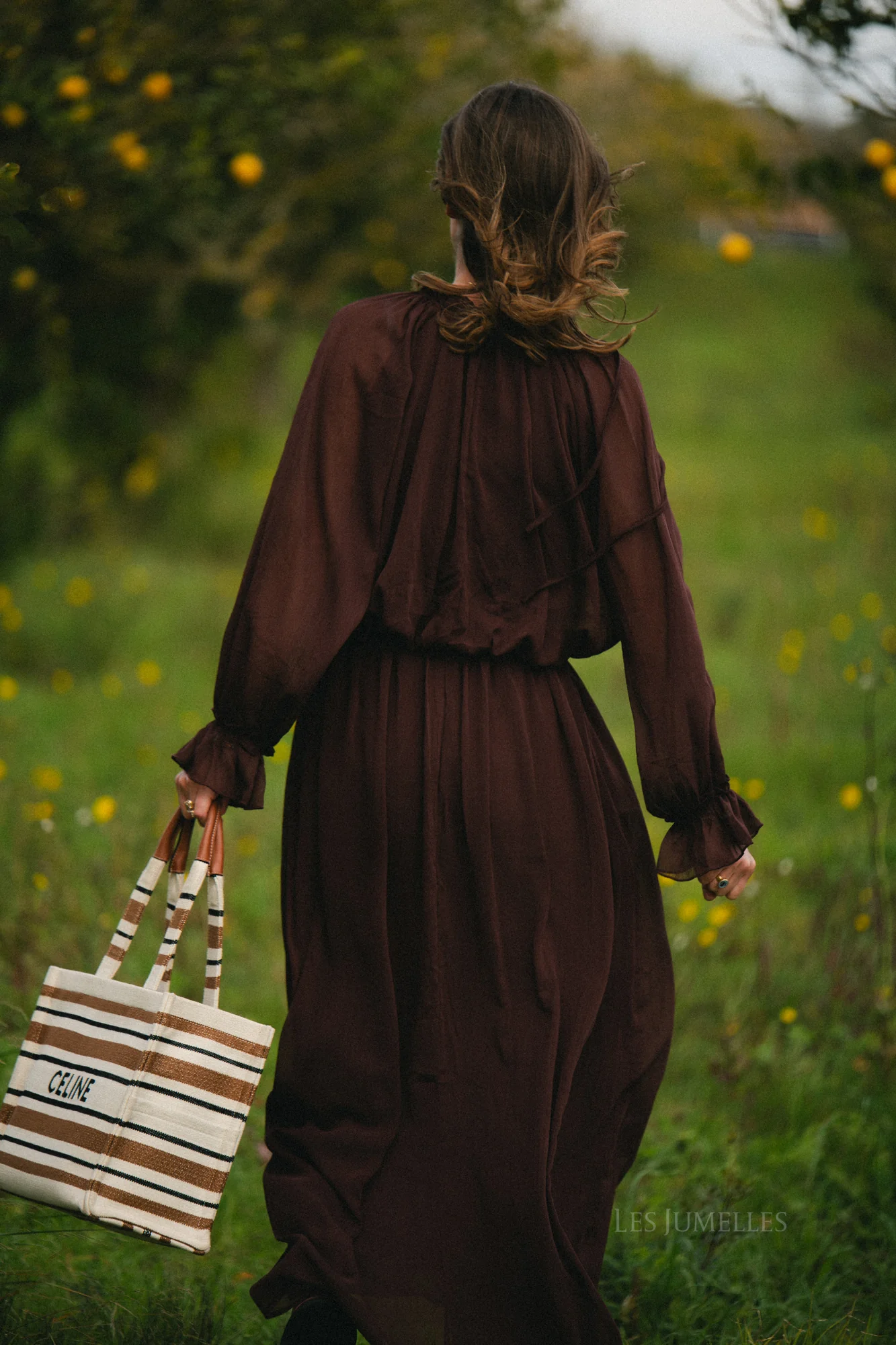 Celine maxi dress hot chocolate - Image 3