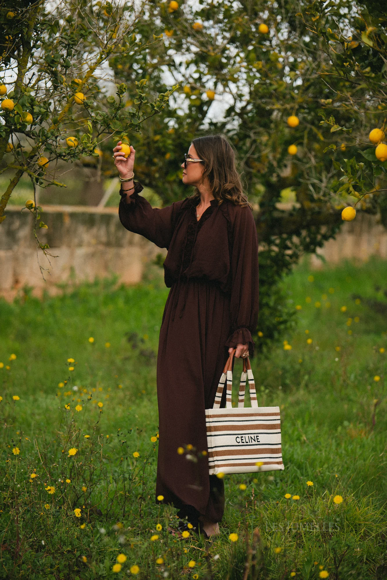 Celine maxi dress hot chocolate - Image 7