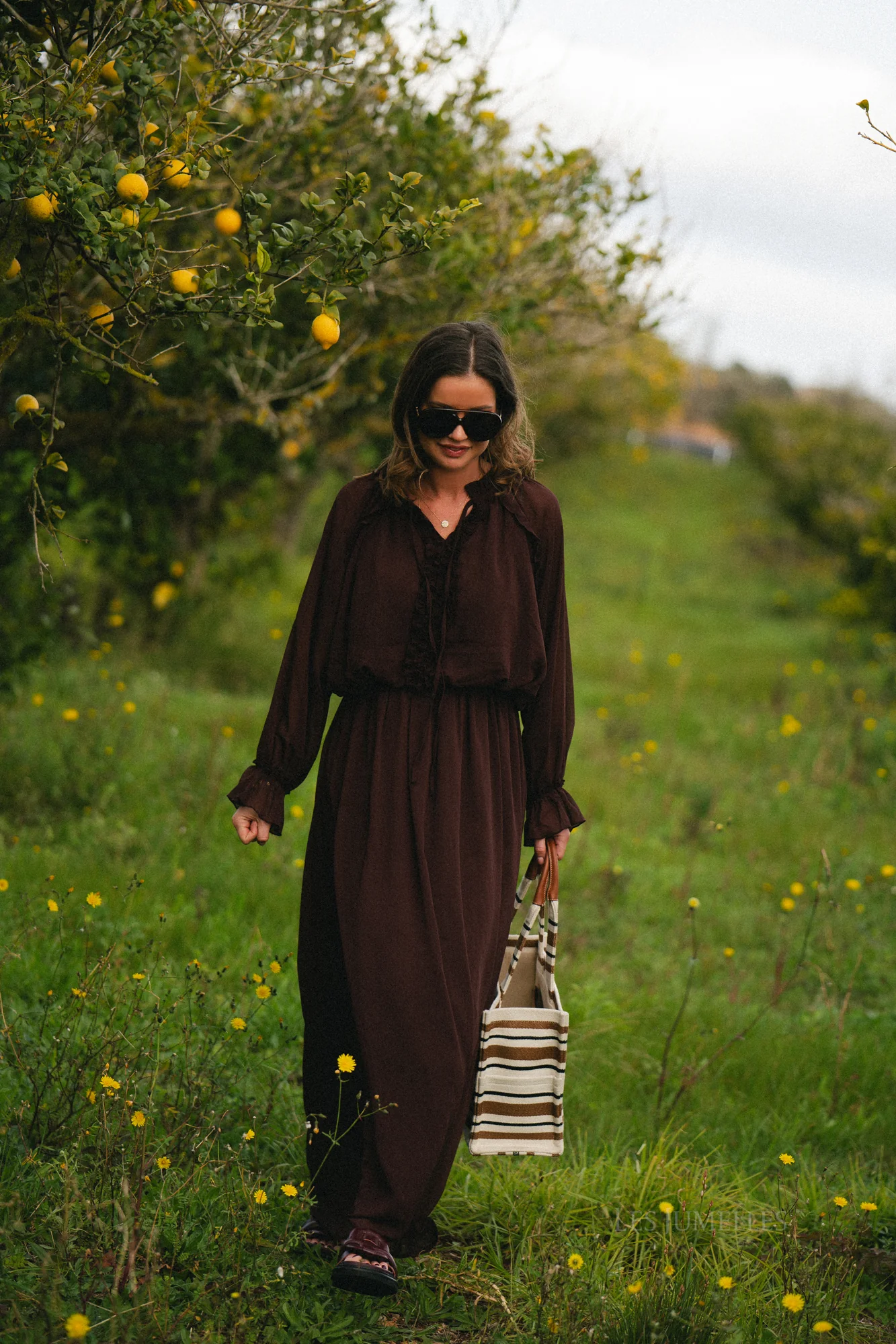 Celine maxi dress hot chocolate - Image 8
