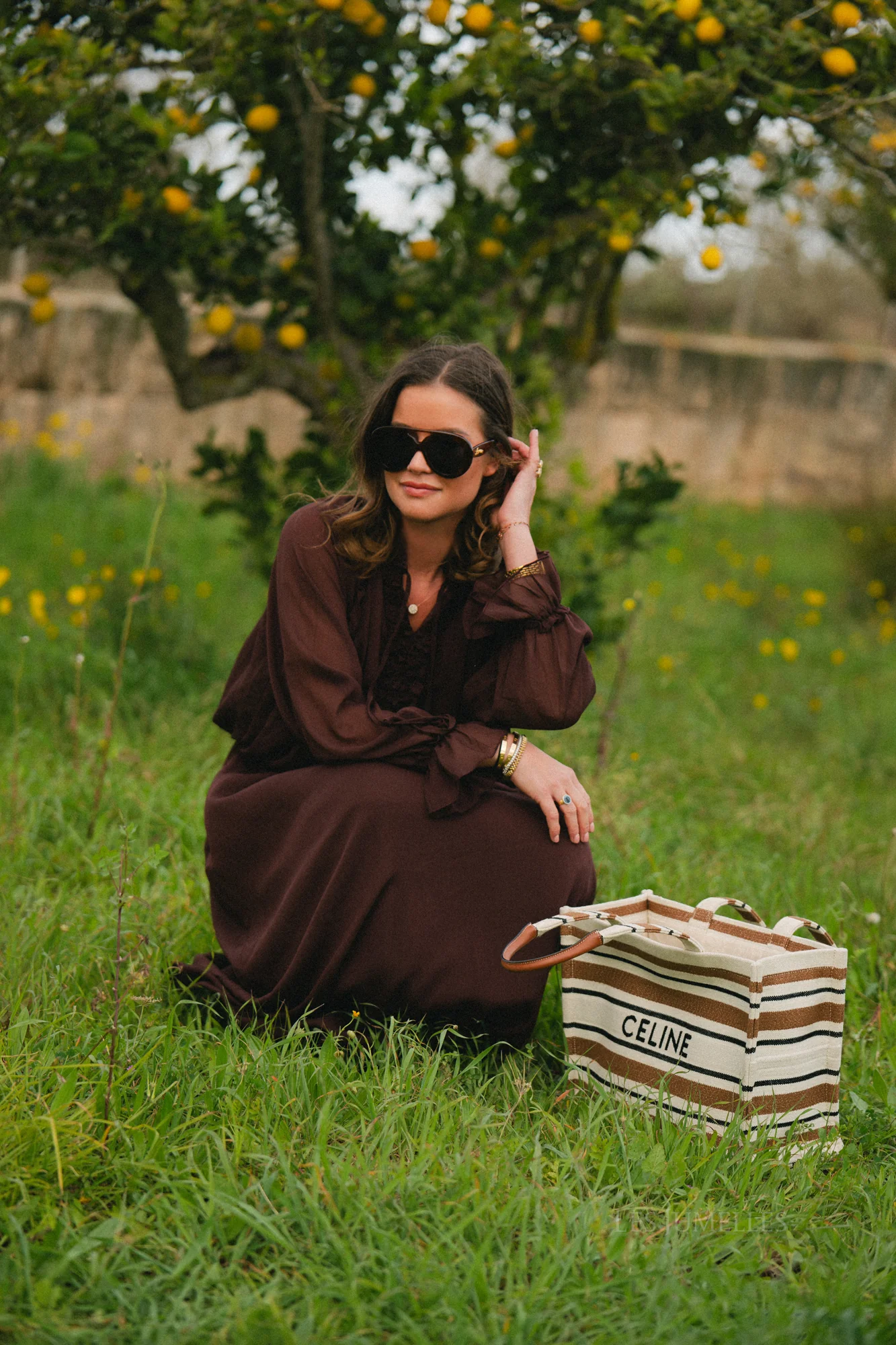 Celine maxi dress hot chocolate - Image 9