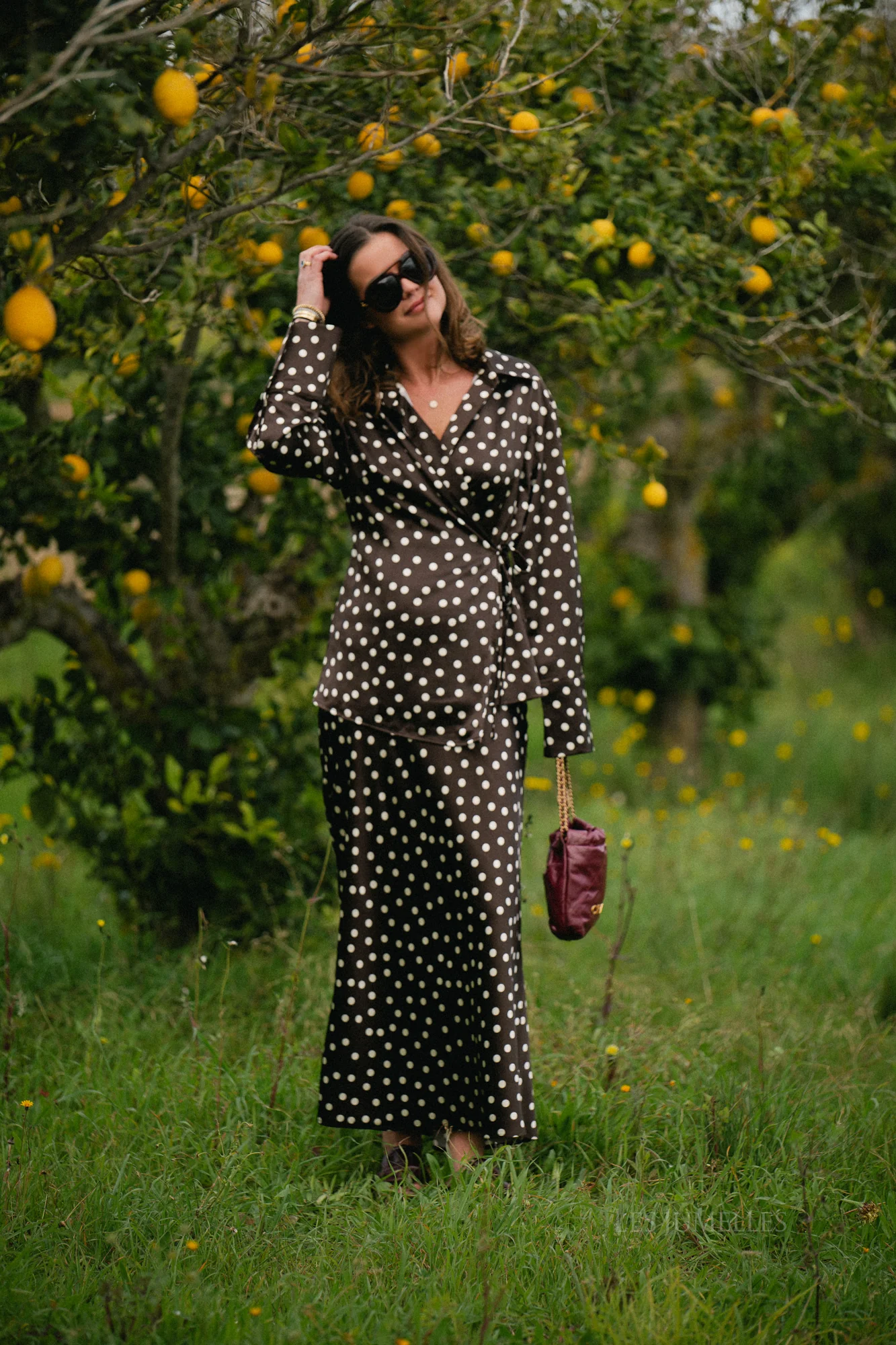 Juliana maxi skirt polka dots brown - Image 10