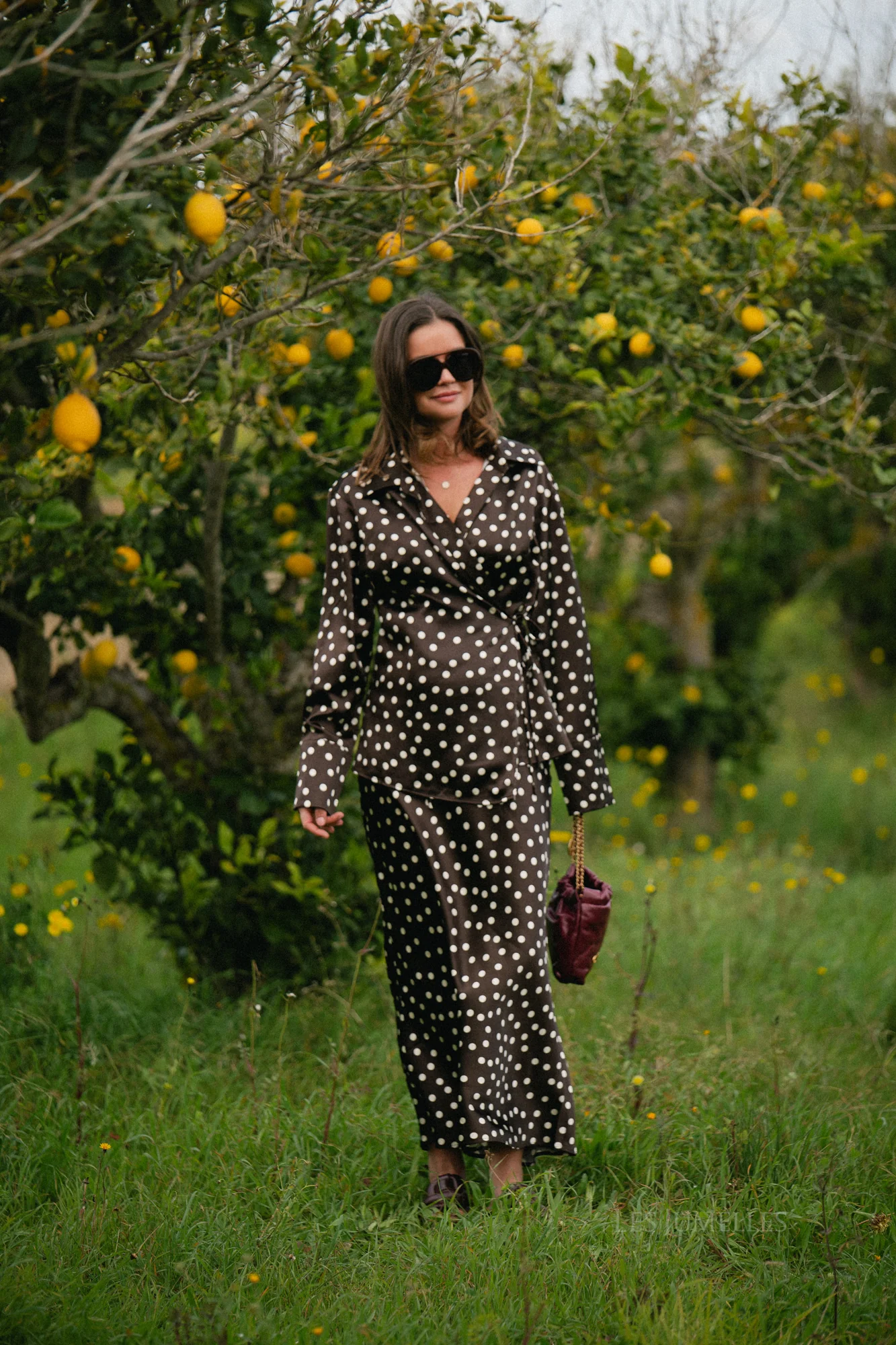 Juliana maxi skirt polka dots brown - Image 7